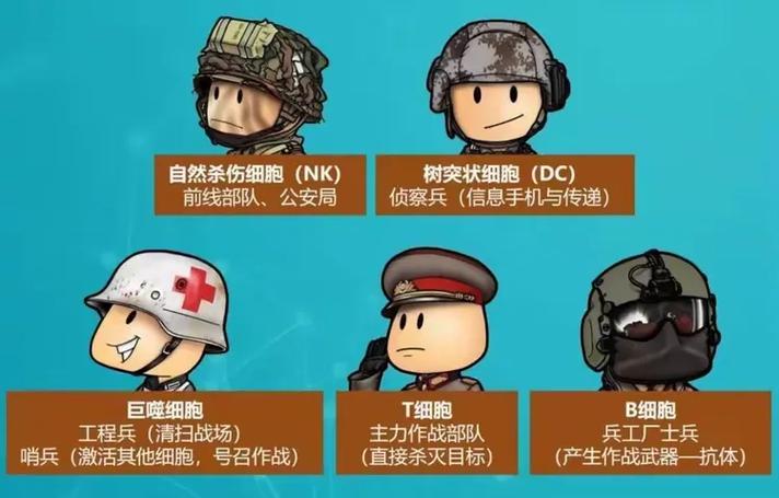 细胞防线免广告配置要求截图1