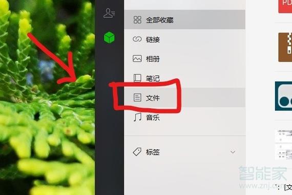 怎样把微信视频转到u盘上