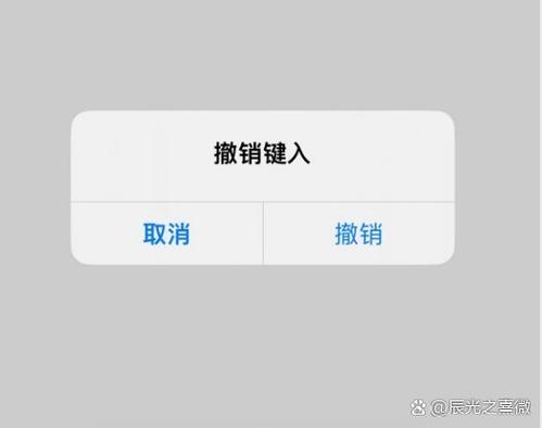 苹果手机为什么不能撤回图片