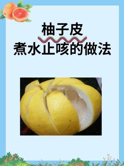 白柚子皮的功效与作用