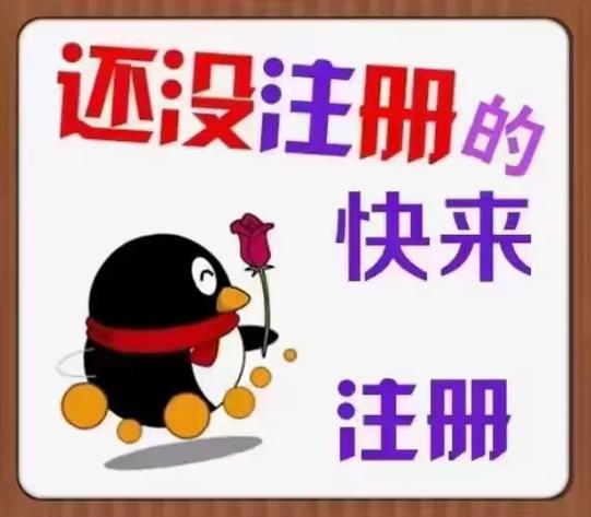趣步国际版最新版本更新内容