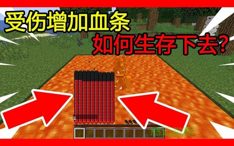 我的世界怎么加血