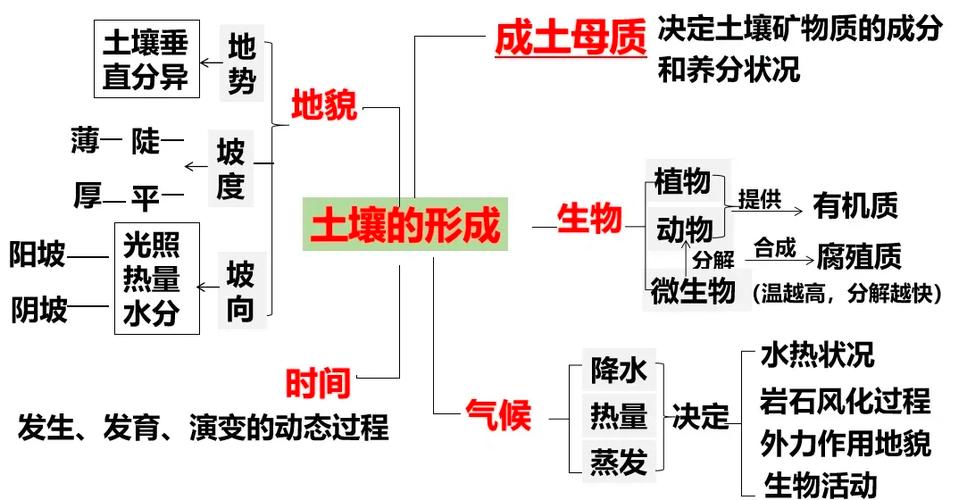 影响地表形态变化的因素