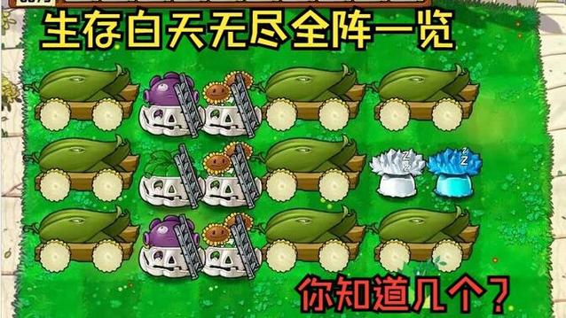 植物大战僵尸白天无尽在哪