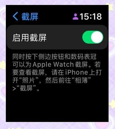 苹果手表主页面显示的是啥意思