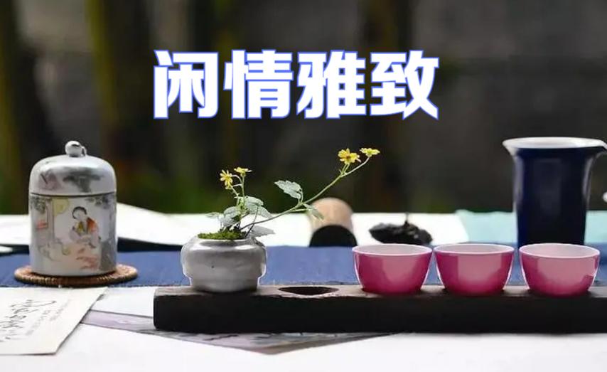 雅致是夸人还是骂人