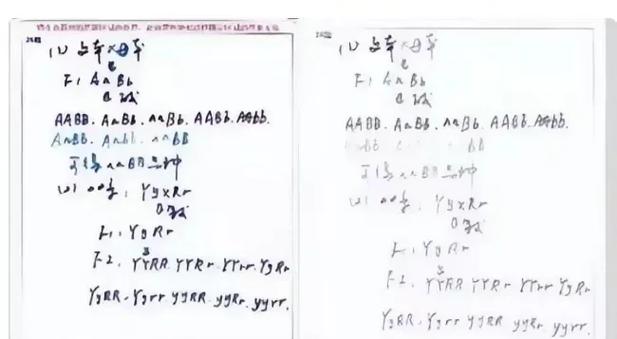 原件字迹很浅怎么办
