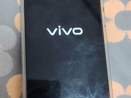 vivo手机自动关机后开不了机