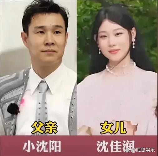 庄丞相家中一共有几个孩子