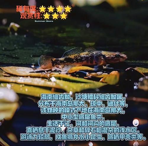 oppo手机右下角有个人的标志怎么去掉