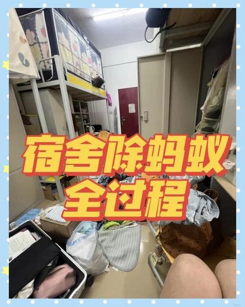 床上棕色的虫子像蚂蚁截图3