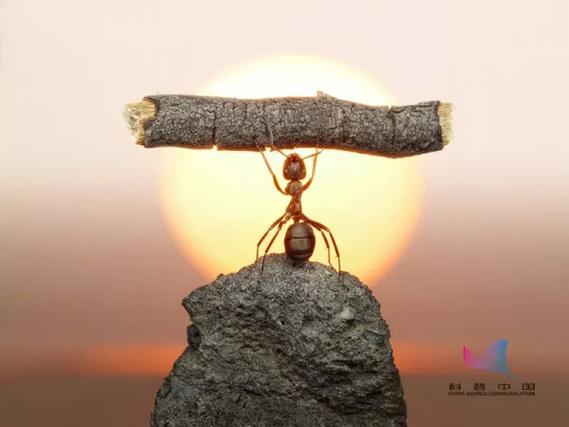 自由落体一万米
