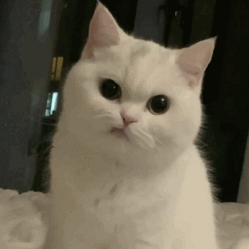 奈斯是夸人还是骂人