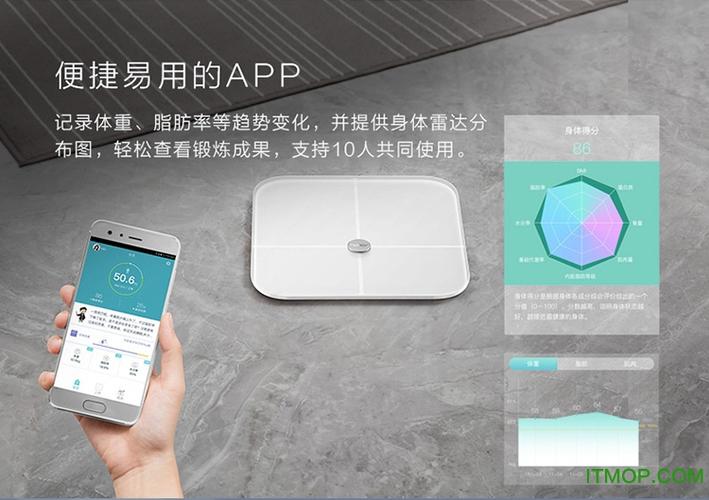 手机体脂秤app下载