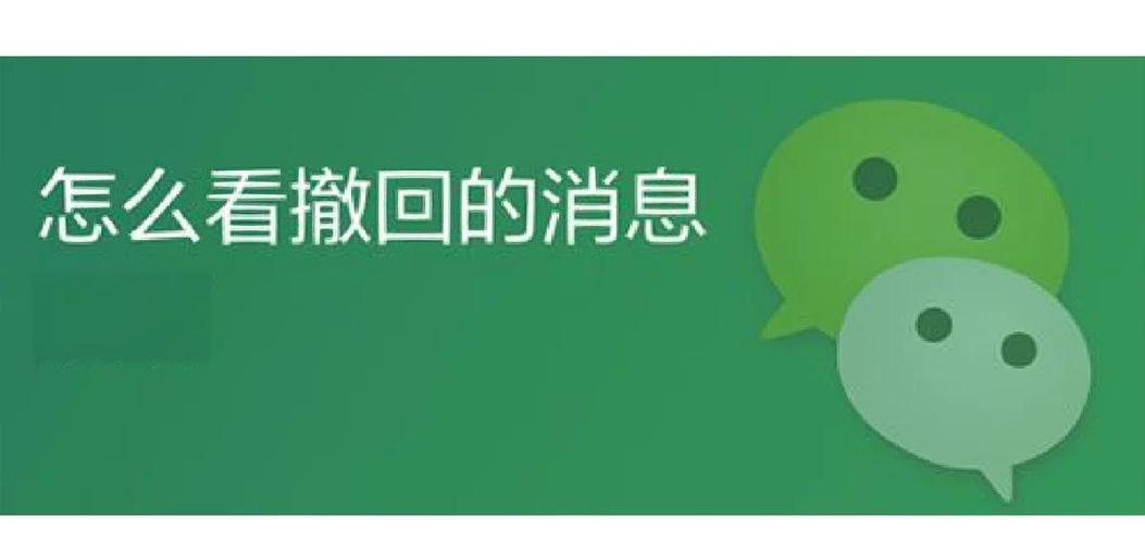 快手撤回消息查看器