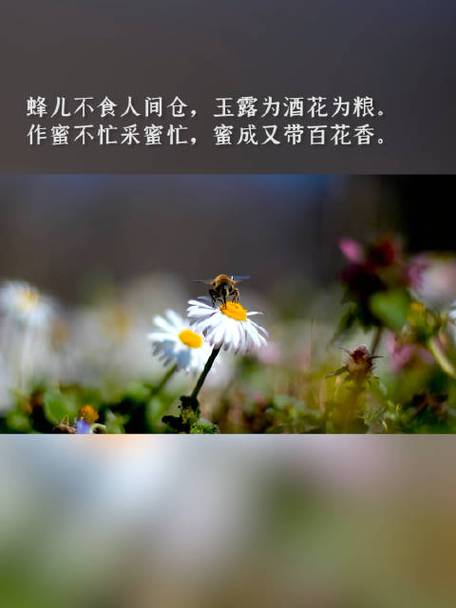 不吃人间粮
