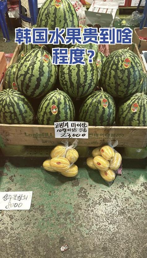 韩国什么吃的最贵截图1