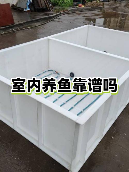 多多养鱼赚钱是否靠谱