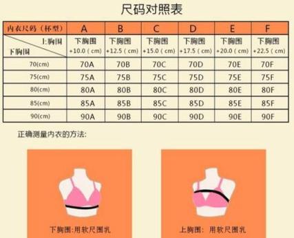36.80胸罩是什么罩杯
