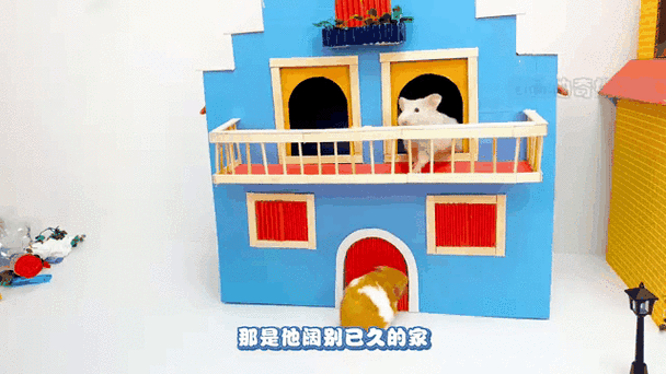 矿泉水瓶制作仓鼠房子