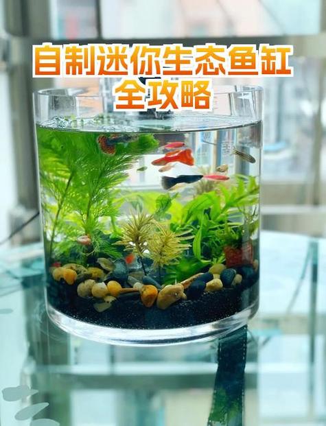 鱼缸起雾怎么处理方法