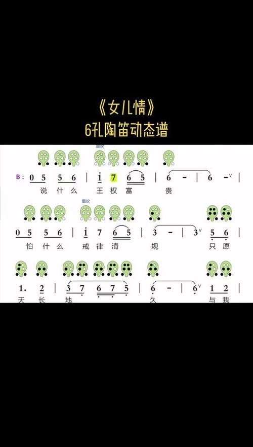 6孔陶笛《女儿情》