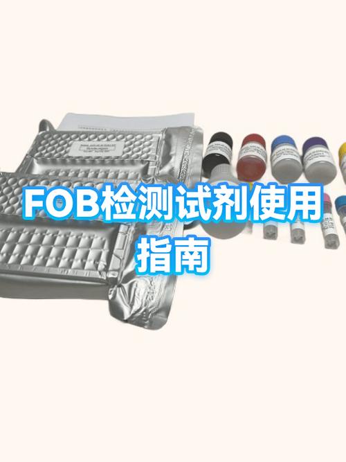 FOB的含义是
