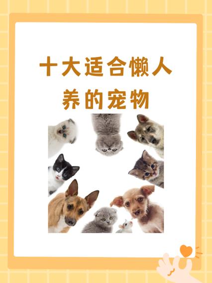 宠物最好养前十名