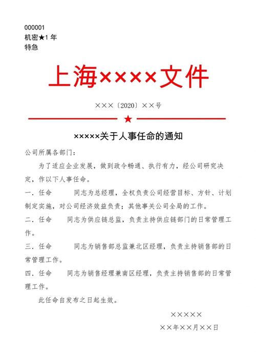 一号红头文件