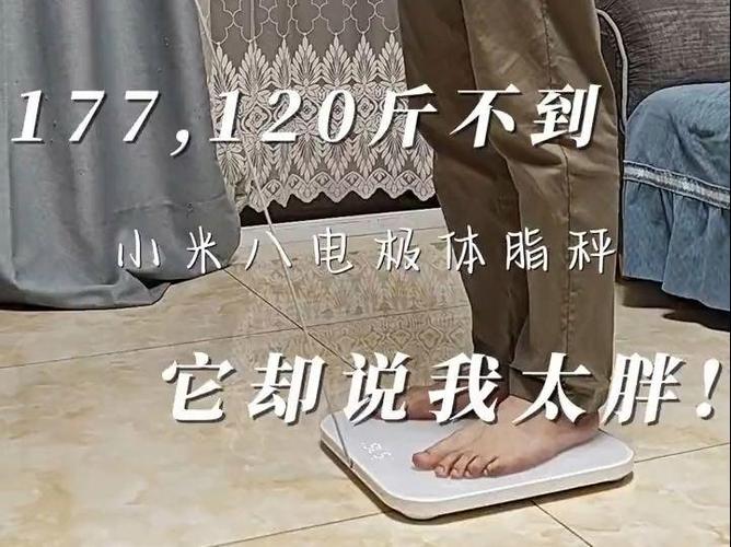 小米体脂秤测不到体脂