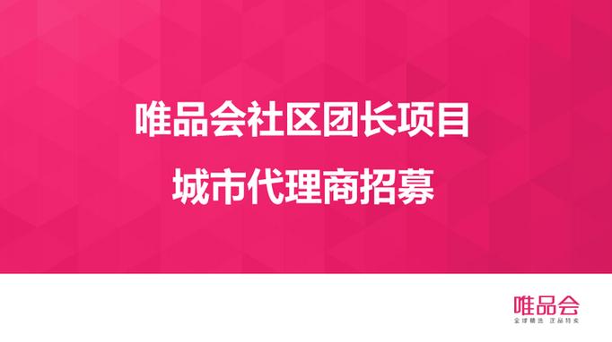 推手公司是什么意思
