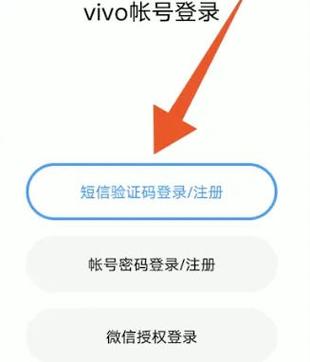 vivo怎么跳过验证码