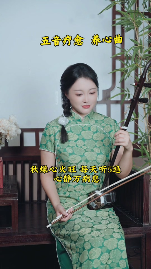 养心曲二胡简谱