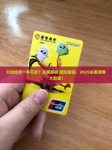 拍拍贷不还会怎么样