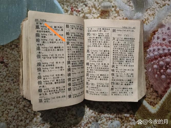 36个怪字
