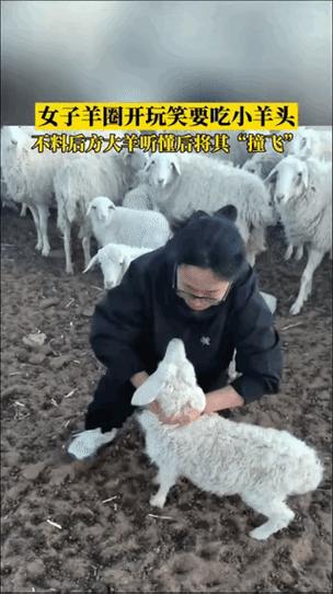 羊脖子上的绳子怎么拴