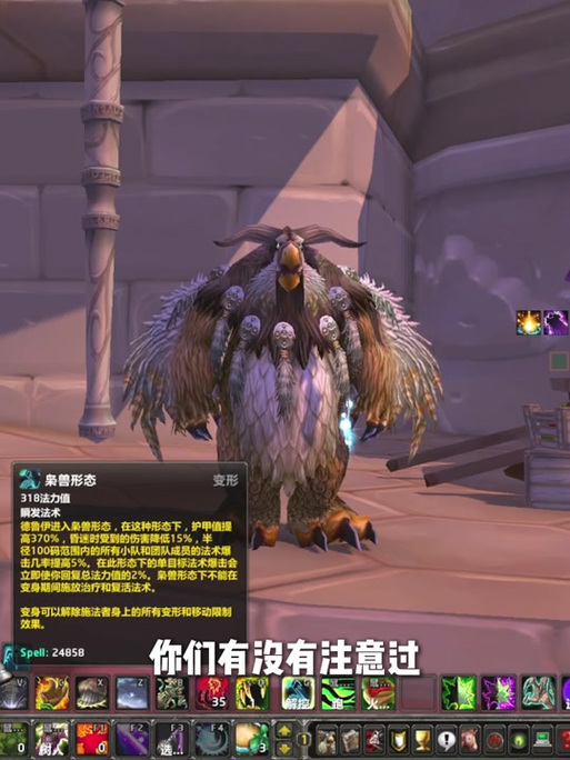 tbc猎人猫头鹰宝宝在哪里