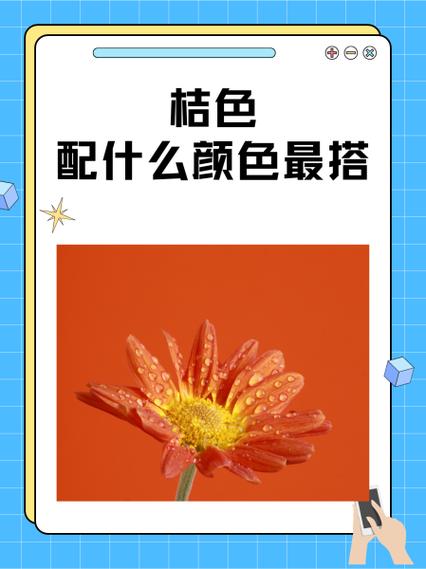 桔色最旺三个属相