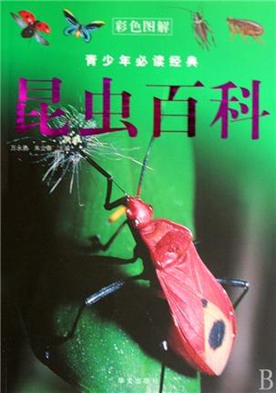 所有昆虫图片和名字