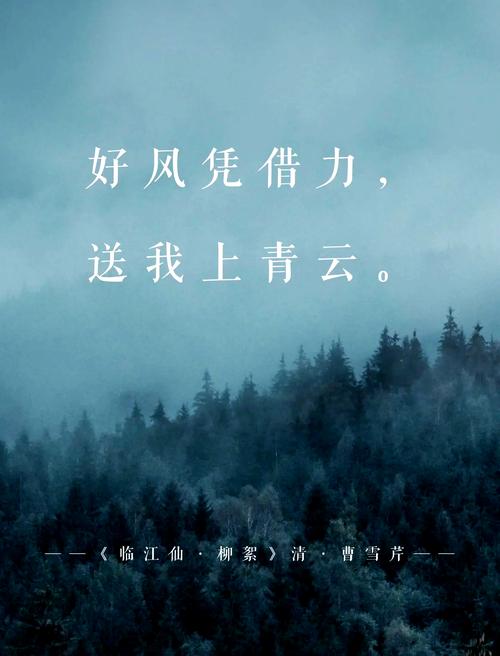 风儿,有你有我