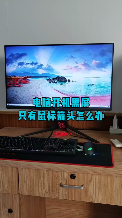 电脑黑屏但能看见鼠标
