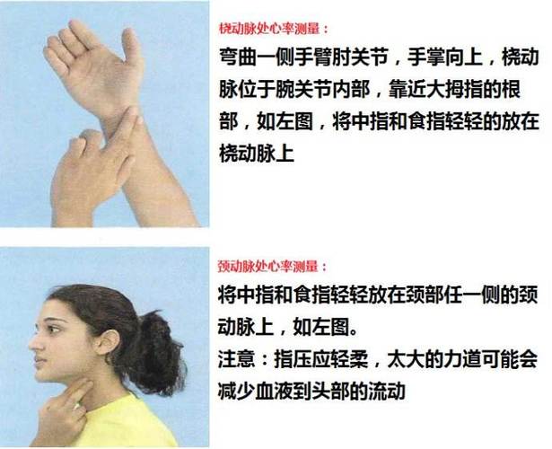 心率怎么测