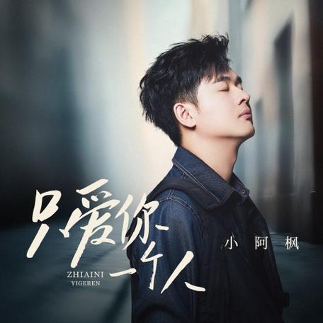 小阿枫最火的十首歌截图2