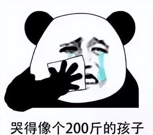 胖子表情包图片