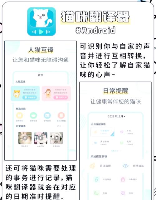 猫猫语音翻译器