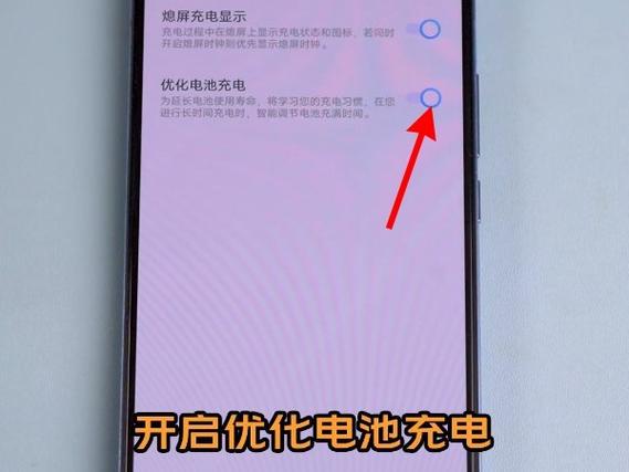 使用vivo充电头的注意事项截图3