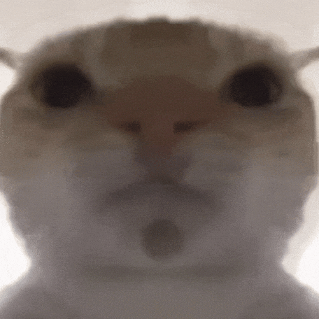 俄meme表情包GIF
