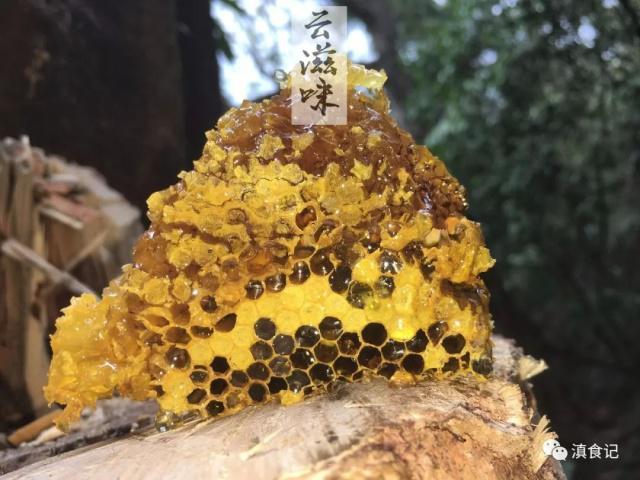 寻觅蜜是个风险平台么