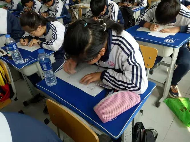 我的最佳年度词汇作文八百字截图1
