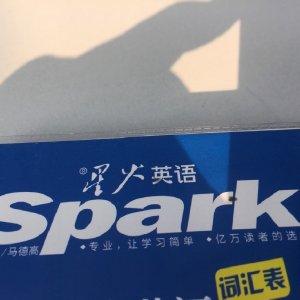 我的最佳年度词汇作文八百字截图2
